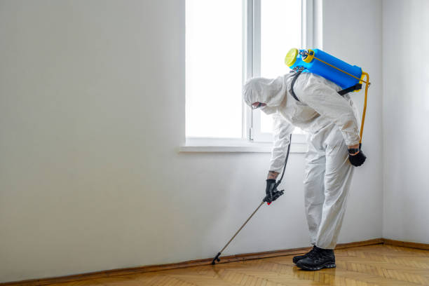 Best Local Pest Control Services  in Garland, NC