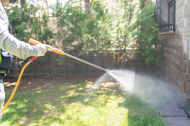 Best Mosquito Control Services  in Garland, NC
