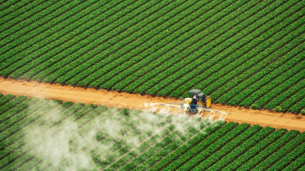 Professional Pest Control in Garland, NC