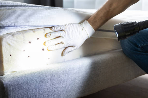 Best Best Pest Control Companies  in Garland, NC