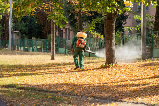 Best Affordable Pest Control Services  in Garland, NC