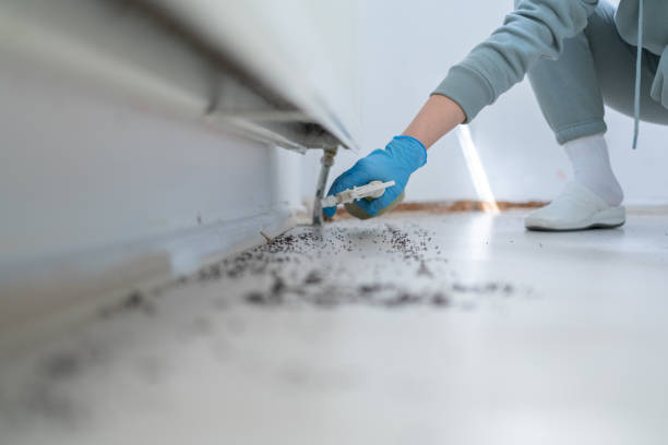 Wildlife Control Services in Garland, NC